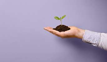 Bewerbungstraining Foerderprogramm