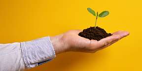 Eine Hand die einen mit Wasser gefüllten Messbecher hält. Symbolisch für die Fesstellung von Kompetenzen