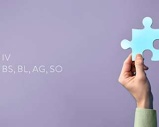 ine Hand, die ein Puzzle-Teil hochhält. Symbolisch für: die Integrationsangebote für die IV BS, BL, AG, SO