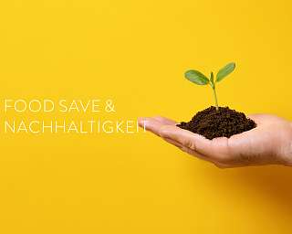 Ein Keimling wächst in einer Hand. Symbolisch für Nachhaltigkeit