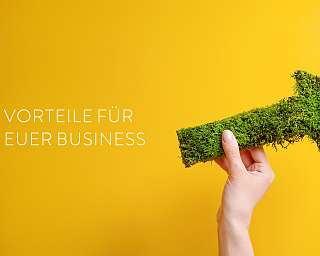 Eine Hand, die einen Moos-Pfeil hält. Symbolisch für das grüne vorwärts kommen.